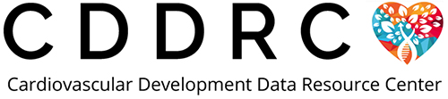 CDDRC Logo